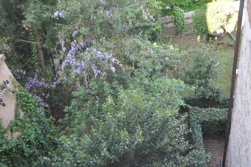 Il Profumo Del Lauro Perugia Exterior foto