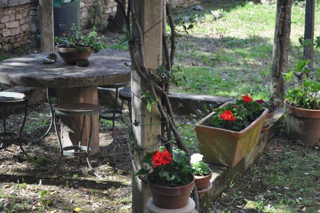 Il Profumo Del Lauro Perugia Exterior foto